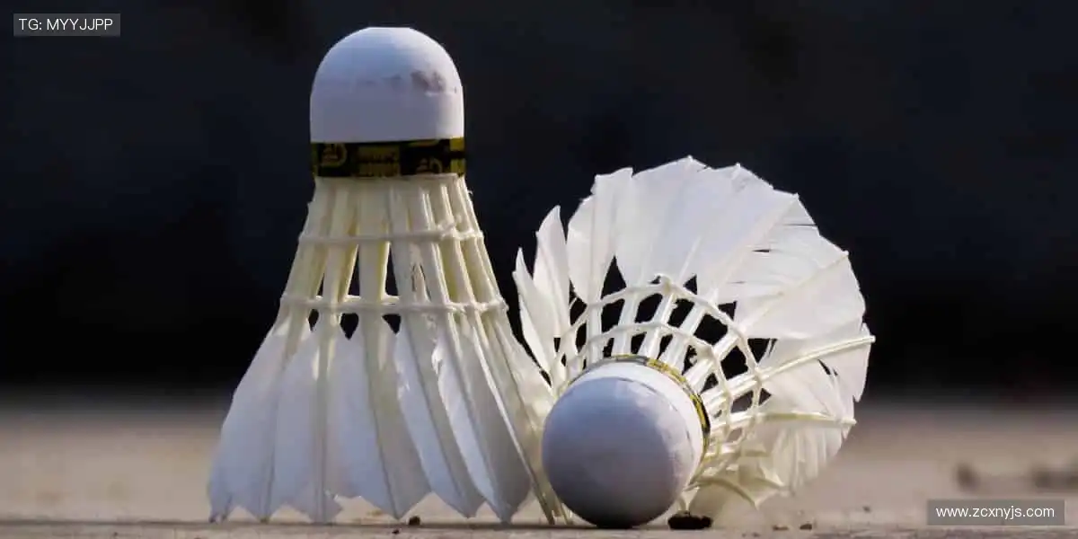 运动潮品,让个性与活力碰撞👟💥